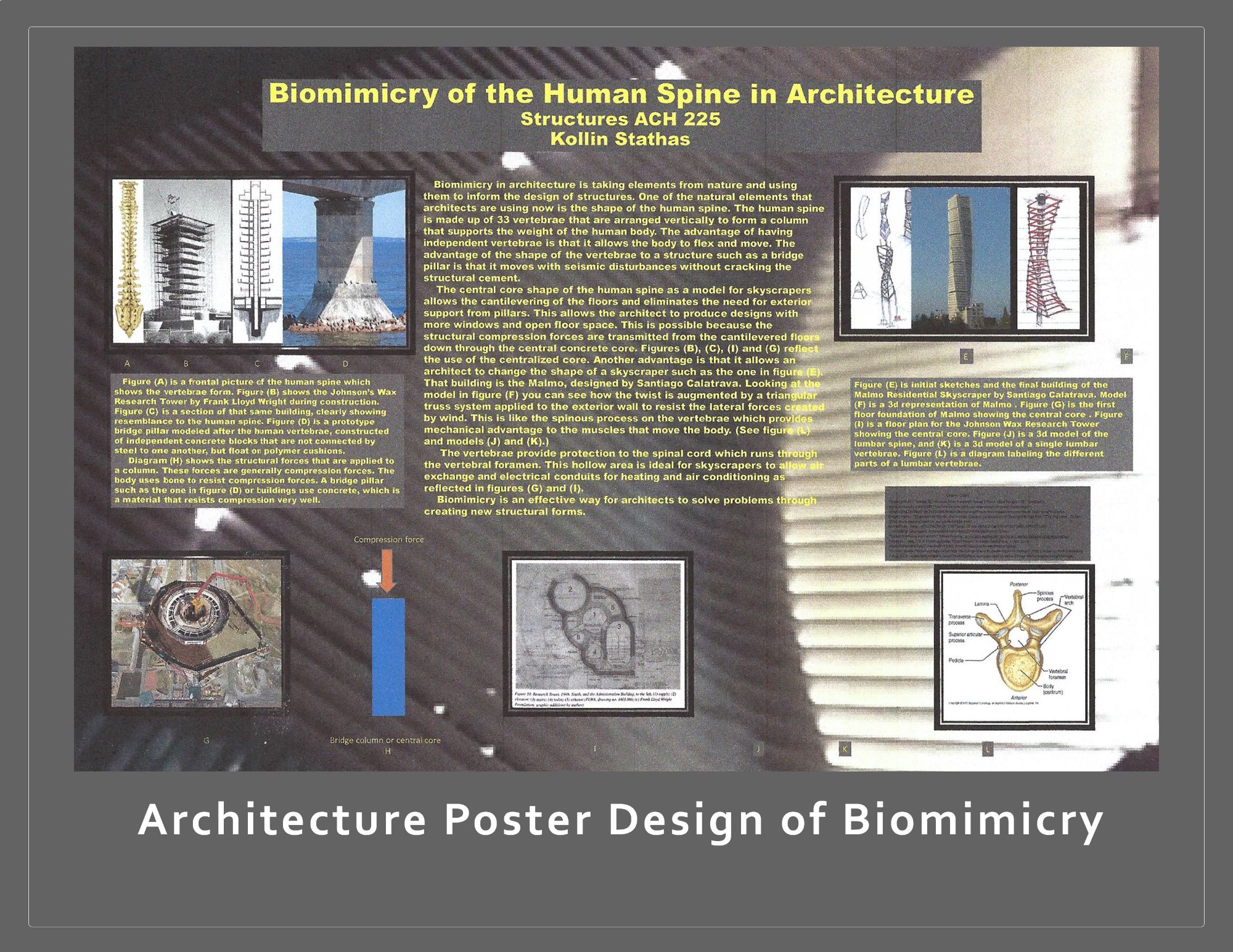 architecture poster biomimicry